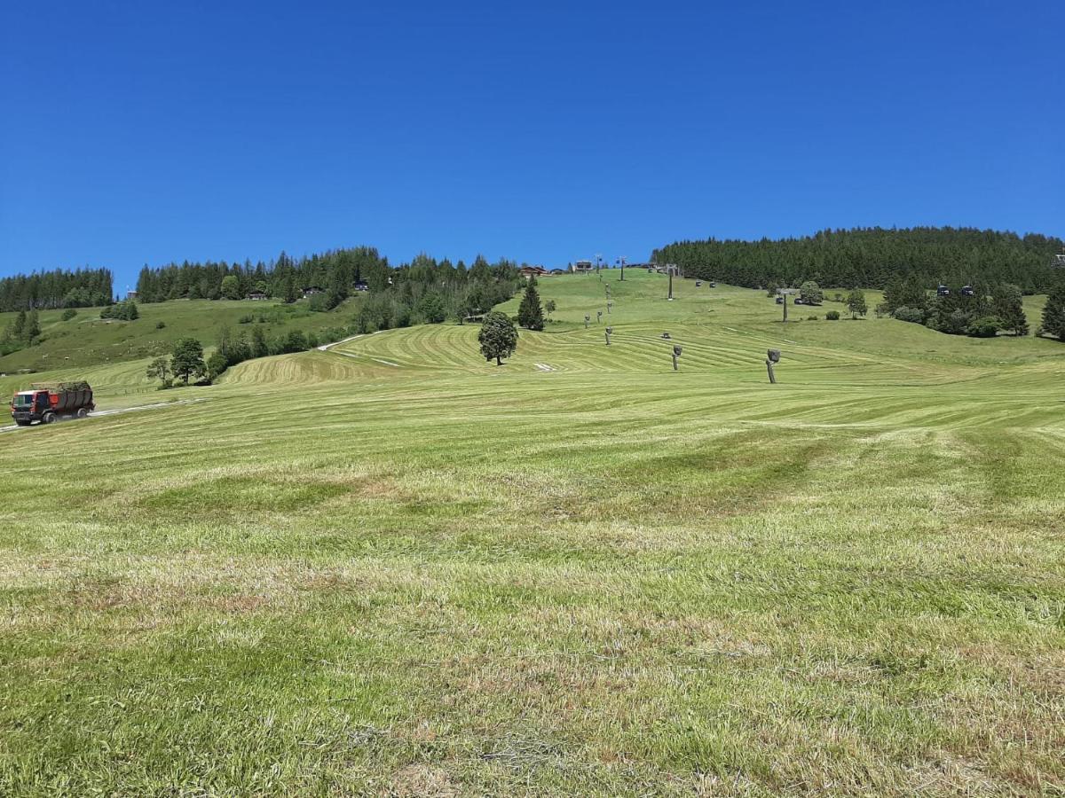 Bio-Bauernhof Hatzbauer Maria Alm am Steinernen Meer Kültér fotó