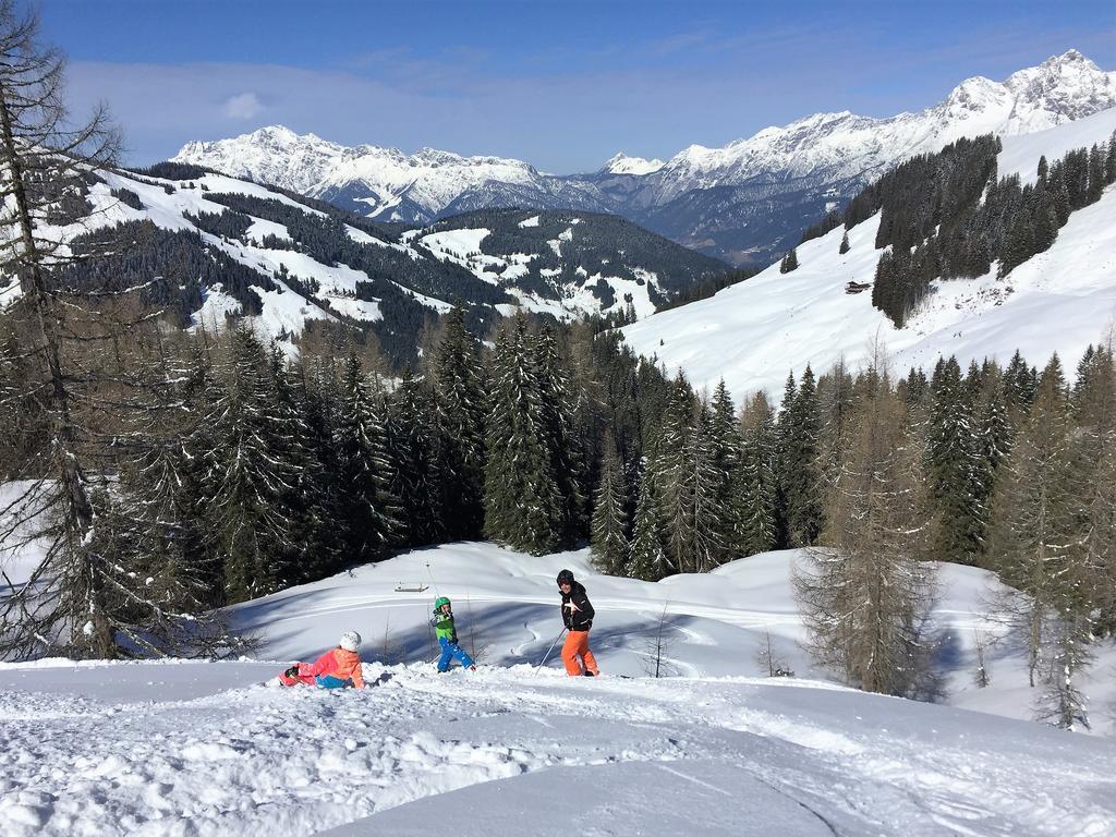 Bio-Bauernhof Hatzbauer Maria Alm am Steinernen Meer Kültér fotó