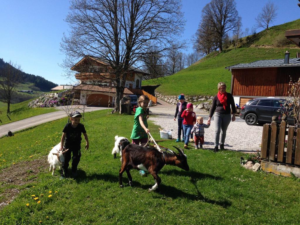 Bio-Bauernhof Hatzbauer Maria Alm am Steinernen Meer Kültér fotó