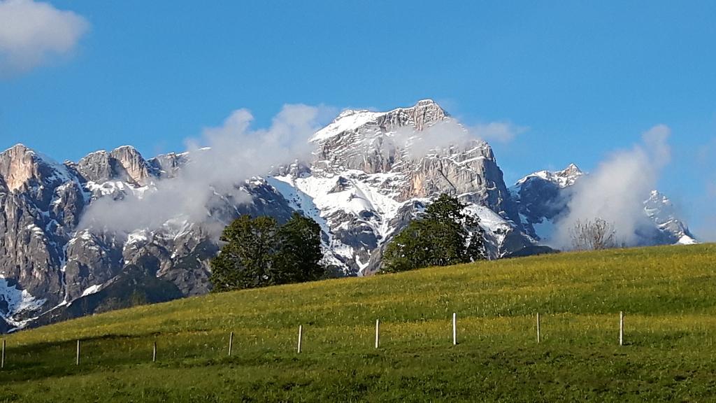 Bio-Bauernhof Hatzbauer Maria Alm am Steinernen Meer Kültér fotó