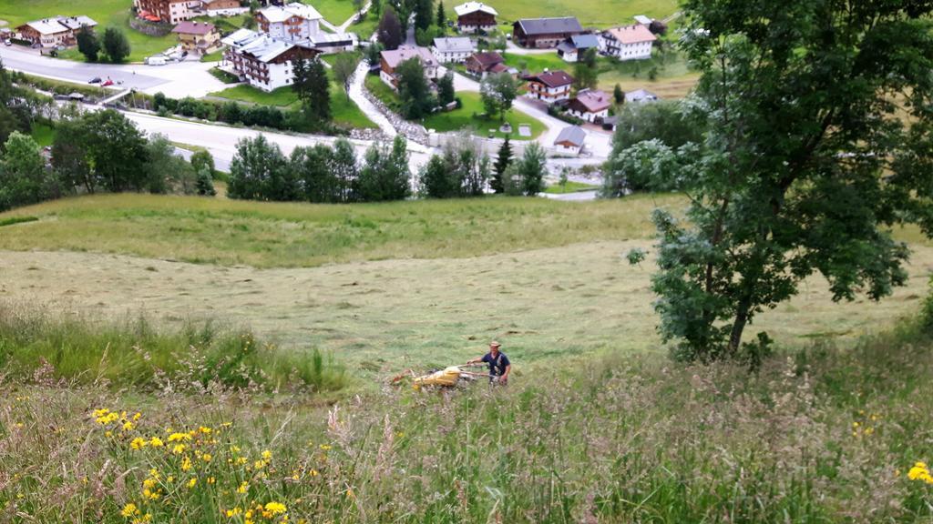Bio-Bauernhof Hatzbauer Maria Alm am Steinernen Meer Kültér fotó